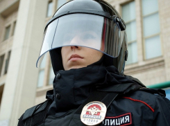 Жителя Аннинского района осудили за хамство в адрес полицейского