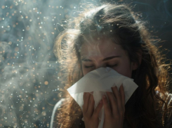 В Воронежской области зафиксировали высокую активность пыльцы берёзы и ольхи