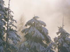 Стало известно, когда в Воронежской области закончатся морозы