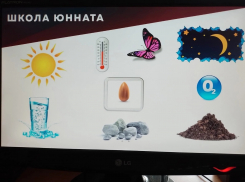 В Петровской школе провели Всероссийский экологический урок