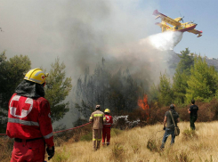 Воронежские лесные пожарные получили новую технику