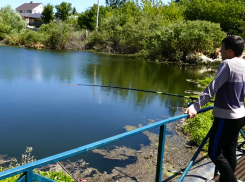  Стали известны адреса безопасных пляжей  в  районах Воронежской области