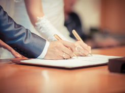 В Воронежской области 8 июля зарегистрируют брак 229 пар