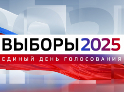 Как в Воронежской области будут работать школы и детские сады в дни выборов