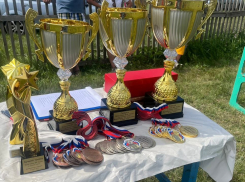 Жителей Таловского района приглашают на соревнования по лапте