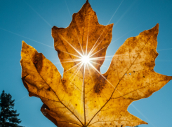 В Воронежской области сохраняется оранжевый уровень погодной опасности