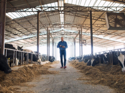 В Таловском районе несостоявшийся бизнесмен присвоил себе крупную субсидию