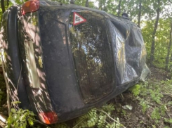 В Эртильском районе пенсионер перевернулся на иномарке