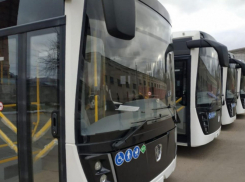 В 2025 году Воронежская область получит дополнительно 43 новых автобуса