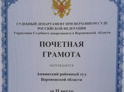 Аннинский райсуд завоевал второе место в областном конкурсе сайтов 