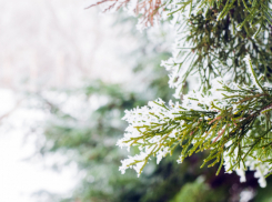 Холодный фронт задержится в Воронежской области на неделю