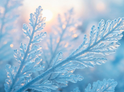 В Воронежской области объявили штормовое предупреждение из-за холодов