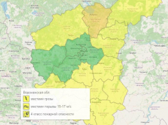 Жёлтый уровень опасности изменил свой характер в Воронежской области