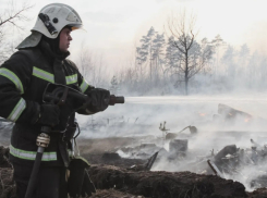 В 16 районах Воронежской области действует особый противопожарный режим 