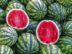 Воронежский Роспотребнадзор предостерег от покупки ранних арбузов