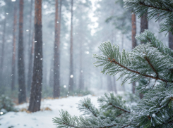 Как жителям Воронежской области пережить аномальные морозы