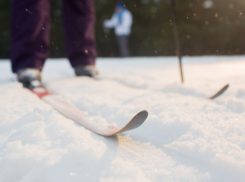 Жителей Воронежской области приглашают к участию в гонке «Лыжня России – 2026»