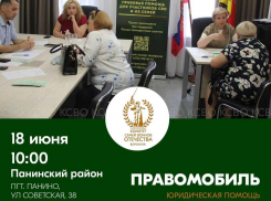 В Панинский район приедет «Правомобиль»