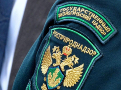 Сотрудники Росприроднадзора оштрафовали МУП «Эртильское»