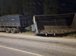 Таловчанин спровоцировал ДТП из-за сахарной свёклы