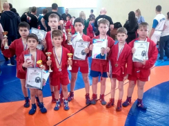 Таловские самбисты приняли участие в областных соревнованиях