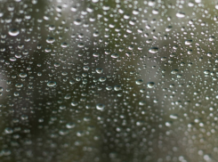 В Воронежской области дождливая погода снизила пожарную опасность