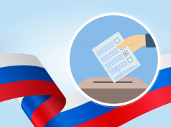 В Аннинском районе пройдут выборы главы Верхнетойденского поселения