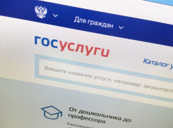 Жители Воронежской области теперь могут регистрировать детей через интернет