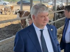 Коровы доятся,  масло давится, свалка - рекультивируется: как губернатор Воронежской области в Эртиле побывал 