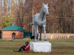 Воронежский предприниматель установит памятник орловскому рысаку в Бобровском районе