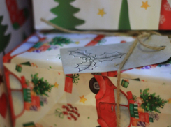 В Воронежской области запустили горячую линию по выбору новогодних подарков