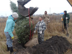 В селе Хреновое Бобровского района озеленили будущий парк