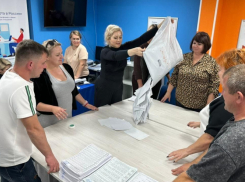 В Воронежской области общая явка на выборах составила 53,80%