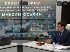 Когда отремонтируют дорогу «Панино-Эртиль»  рассказал руководитель областного департамента дорожной деятельности