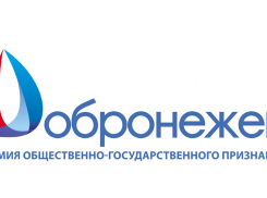 Проекты из Анны, Панино, Таловой и Эртиля стали финалистами конкурса"Добронежец»