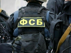 ФСБ восстановила путь заражённого сибирской язвой мяса до рынка Воронежа