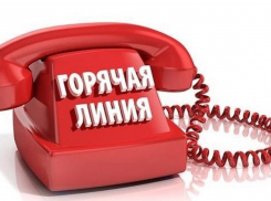 Жителям Воронежской области помогут выбрать качественные овощи и фрукты
