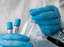 В Воронежской области заболеваемость ковидом выросла на 36%