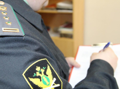 В Воронежской области приставы отправили домой 13 нелегалов