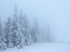 В Эртильском районе высота сугробов достигла 47 см