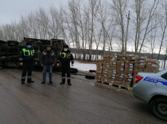 Дальнобойщик с мясом птицы перевернулся на трассе в Аннинском районе