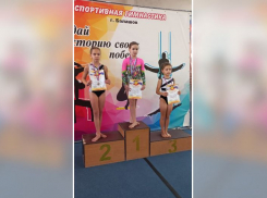 Бобровские спортсмены выиграли 13 медалей на межобластном турнире по гимнастике