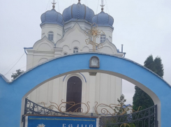 В Панинском районе проходит акция «Белый цветок»