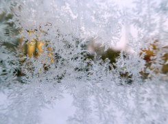 Более 580 жителей Воронежской области пострадали из-за гололёда за неделю