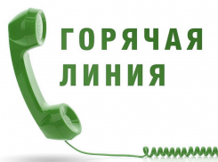 В Воронежской области запустили горячую линию по вопросам контрафакта