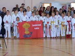 Панинские каратисты завоевали 24 медали на областных соревнованиях
