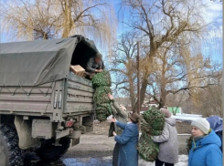 Жители Красненского поселения Панинского района помогли бойцу СВО