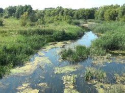 В Воронежской области эксперты оценят состояние пяти рек