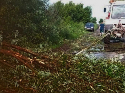 Мощный ураган оставил без света и воды село в Панинском районе