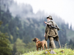 В Воронежской области лесники изъяли у браконьеров 16 ружей